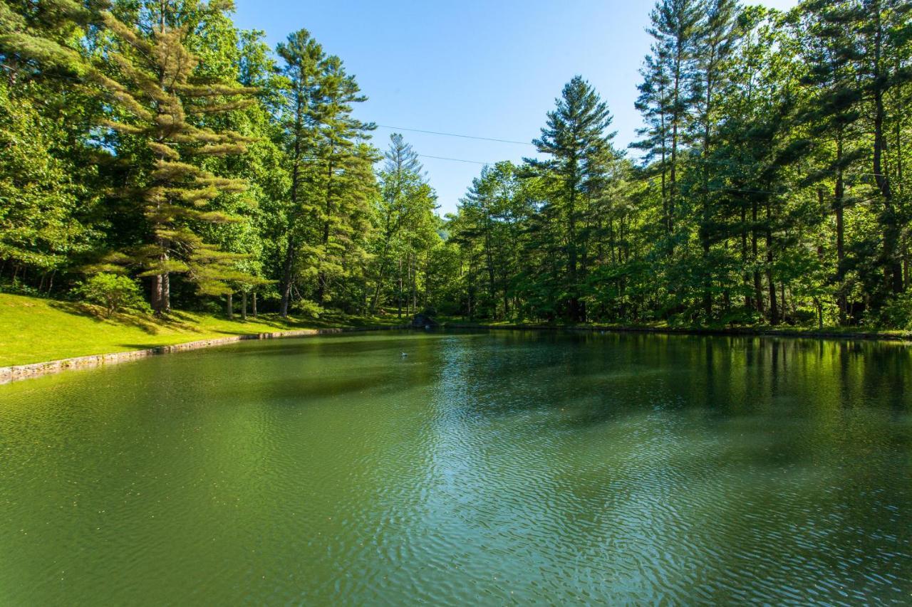 Bull Creek Peaceful Escape Villa Asheville Eksteriør bilde